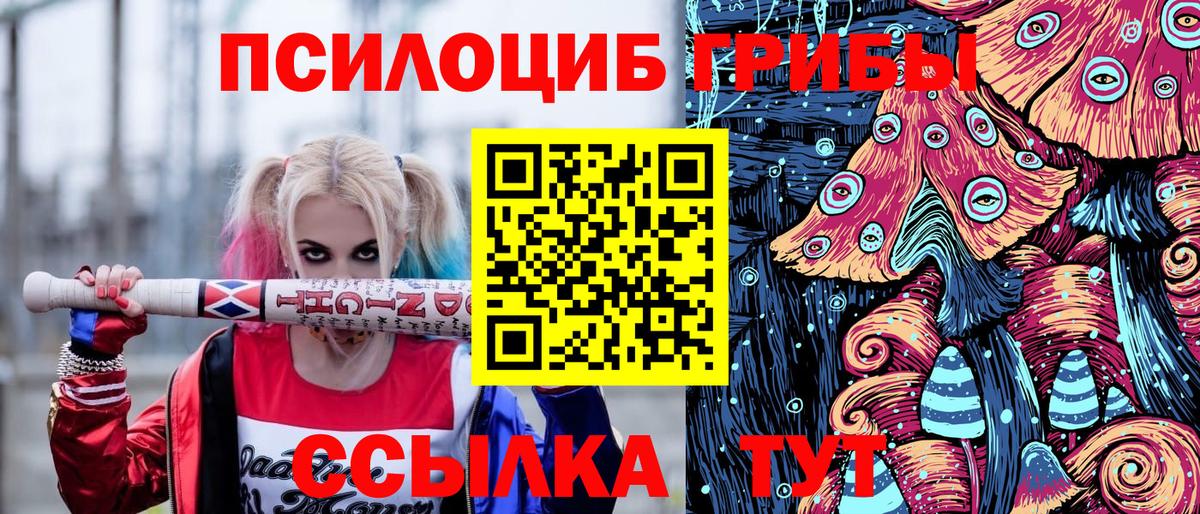 купить наркоту  Галлюциногенные грибы Psilocybe  Вход с VPN  Зима 